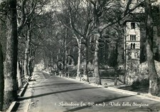 Cartolina di Antrodoco, viale alberato - Rieti, 1952