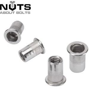 M4 ZINC FLANGE RIVNUTS THREADED BLIND RIVET NUTS OPEN END - Picture 1 of 2