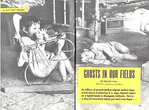FOTO OPERAIO MIGRANTE PITTORICA 1950 FANTASMI NEI NOSTRI CAMPI SEGUENDO LE COLTURE STATUNITENSI - Foto 1 di 1