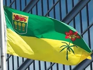 NUOVA BANDIERA CANADESE 3x5ft SASKATCHEWAN CANADA migliore qualità venditore USA - Foto 1 di 3