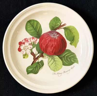 Portmeirion Pomona "Hoary Morning Apple" Dinner Plate 10.5" England Made Vtg NOS - Image 1 of 4