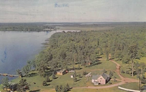 Postal MN: Vista aérea, Ollie's Evergreen Forest, Cass Lake, Minnesota, años 50 - Imagen 1 de 2