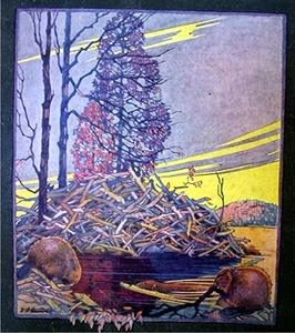 1928 Naturmagazin September 1928 - Spinnenjagd - Caulolepis Longidens - Bild 1 von 12