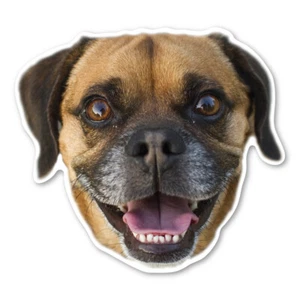 Puggle Magnet - Picture 1 of 1