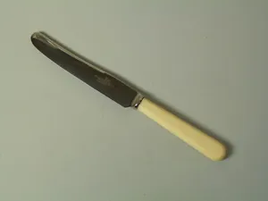 WALKER & HALL Cutlery - IVORINE Effect - Dessert Knife / Knives - 7" - Picture 1 of 1
