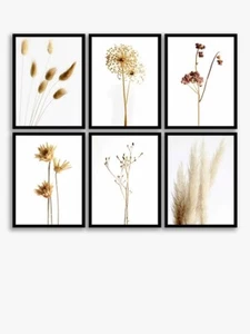 John Lewis Natural Pradow - Impresiones enmarcadas florales, conjunto de 6, 42 x 32 cm, natural - Imagen 1 de 3