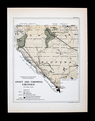 1901 Minnesota Geological Map Swift Chippewa County Montevideo Benson Geology MN - Image 1 of 4