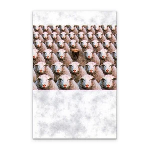 Funny ANYTIME BLANK INSIDE Card, Black Sheep by American Greetings +✉Envelope - Picture 1 of 4