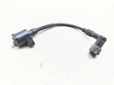 03-25 Paquetes de tapones de bobina de encendido Honda Ruckus NPS50 TRSH DW Foto 1 de 4