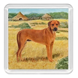 Rhodesian Ridgeback Dog Acrylic Coaster Novelty Drink Cup Mat Great Gift - Picture 1 of 1