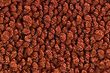 1968-1970 Plymouth Road Runner Molded Carpet Kit Automatic 80/20 Loop ACC - Image 1 of 3