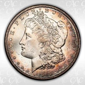 1889-S $1 CACG MS 64+ - Picture 1 of 3