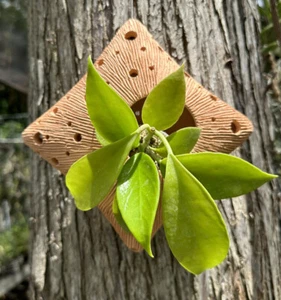 ARTISAN HANGING CRESCENT MOON PLANTER. - Picture 1 of 3