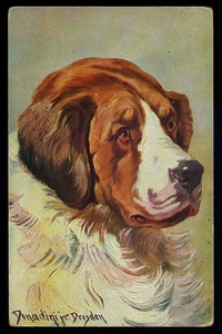 cartolina d'epoca-post card-animali CANE SAN BERNARDO - Imagen 1 de 1