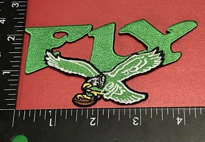 Philadelphia Eagles ☝️🦅 IRON ON Unbranded PATCH. 🏈 SB CHAMPIONS - Image 1 of 4