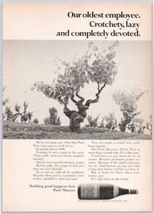Paul Masson Pinot Noir Crotchety Vine Nothing Good Happens Fast Print Ad 1970 - Picture 1 of 5