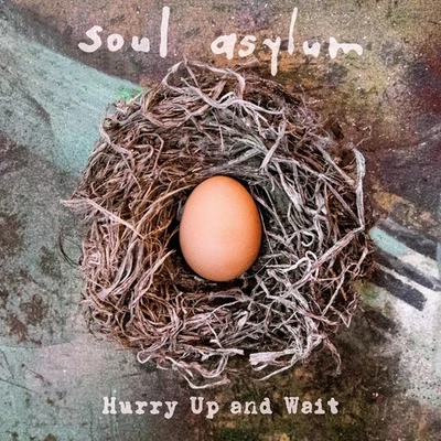 Soul Asylum Hurry Up and Wait (CD) (Importación USA) - Imagen 1 de 2