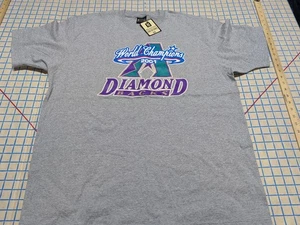 VTG MLB 2001 Arizona Diamondbacks World Series Champions Gray T-Shirt XL NWT ~6 - Picture 1 of 5
