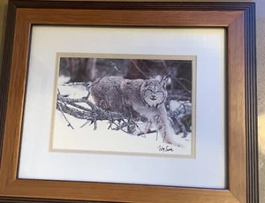 Natural Imagery Photograph by William Ervin Lynx - Picture 1 of 6