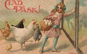 Kleines Mädchen sammelt Henne Eier Ostern Postkarte - Bild 1 von 2