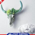 Resin White Ox Head Cow Skull Wall Pendant Animal Figurines Crafts (Succulent) ?