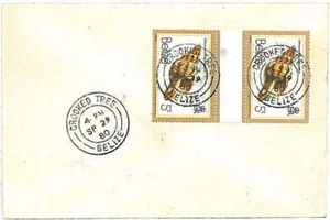 28711 - BELIZE - Postal History - COVER from CROOKED TREE  1980 - Picture 1 of 1