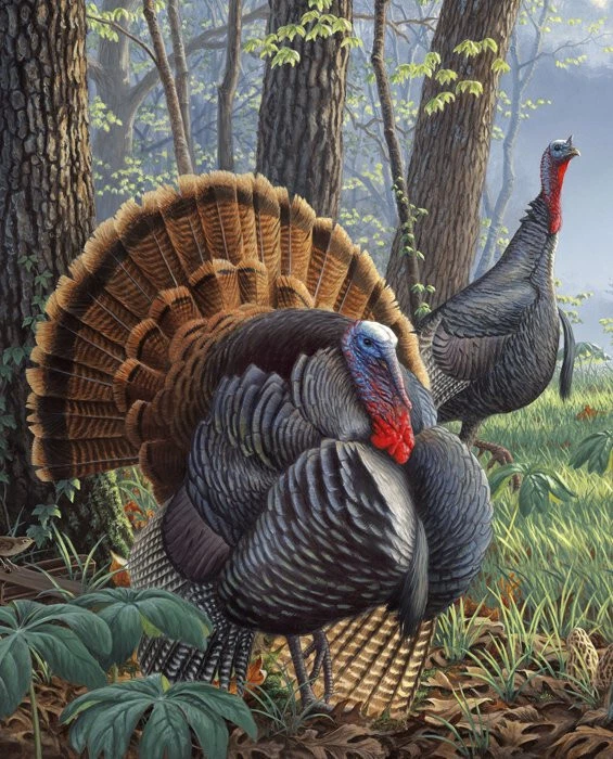 Wild Turkey Panel Fabric Thanksgiving 35.5"X44" Digital Cotton David Textiles - Image 1 of 1