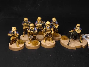 Expansión Shoretroopers pintada para Star Wars Legion - Imagen 1 de 7