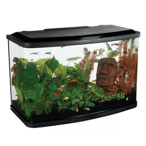 Petbarn Fluval Curve Aquarium 60L - Picture 1 of 2