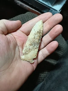 Authentic Indiana Early Archaic Serrated Warrick Point Indian Arrowhead Artifact - Picture 1 of 19