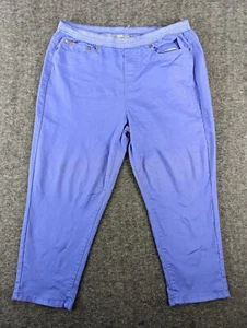 Diane Gilman Pants Womens Large Purple Solid Jegging Skinny Pants - Picture 1 of 14