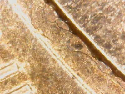 2014 Lincoln Cent Die Chips Rev. - Image 1 of 4