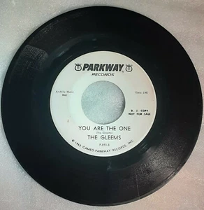GLEEMS: you are the one / sandra baby PARKWAY 7" Single 45 RPM - Picture 1 of 2