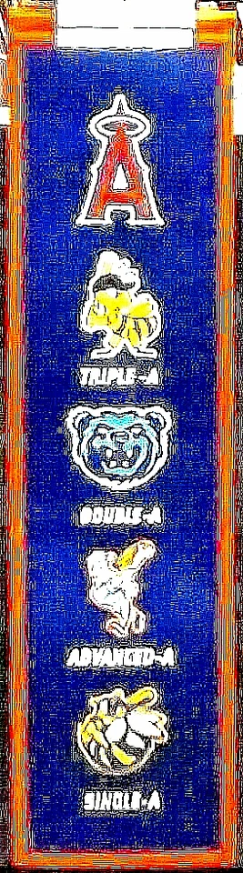 Los Angeles Angels Farm System Cooperstown Collection Banner - MLB - Image 1 of 1