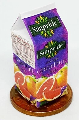 Maison de Poupées Pamplemousse Jus Grand Vide Fait Main Carton Miniature Tumdee - Photo 1/4