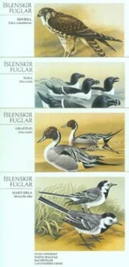 87571 - ICELAND - POSTAL HISTORY - SET of 4 OFFICIAL POSTCARDS : Birds - Picture 1 of 1
