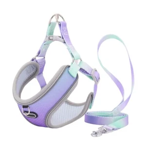Escape Proof Harness and Leash Set Adjustable Mesh Dog Harness Vest Puppy2031 - Picture 1 of 8
