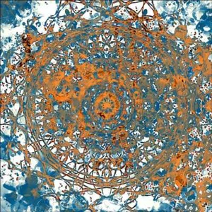 Marokkanisches Muster 1 Akzent & Dekor Fliese Irena Orlov Kunst OB-ORL5073AT - Bild 1 von 2