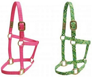 Western or English Saddle Horse Heavy Nylon Halter Head Collar Pink Lime Green - Picture 1 of 1