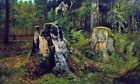 Oil painting Shishkin Ivan Ivanovich Landscape with the stump in forest scene