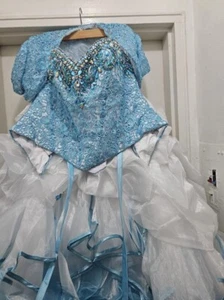 quinceañera dress - Picture 1 of 5