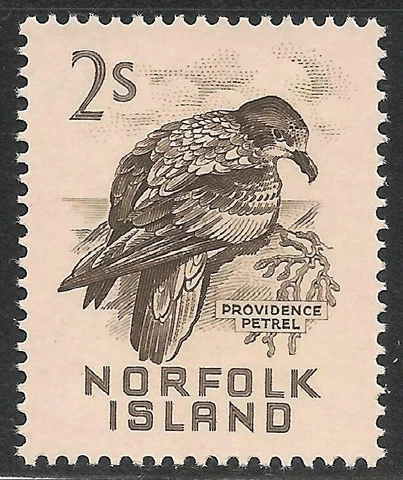Norfolk Island #37 (A6) (SG #32) VF MNH - 1961 2sh Providence Petrel Cover