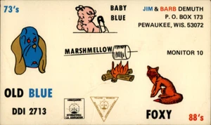 Pewaukee,WI Baby Blue Marshmellow Foxy DDI 2713 QSL Ham Radio Wisconsin - Picture 1 of 2
