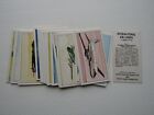 Home Counties Dairies Tea Cards 1965 INTERNATIONAL AIRLINERS Card Variants (e35)