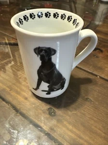 Taza de café Great Dane taza té DIMENSION 9 LLC mascotas 10 OZ perro mascotas marca - Imagen 1 de 11
