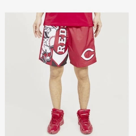 Cincinnati Reds Pro Standard Shorts Cover