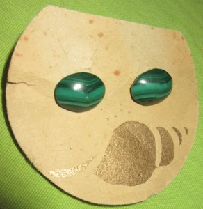 Green Malachite Stud Earrings Perfect for St Patricks Day NEW BEAUTIFUL ***L@@K - Picture 1 of 5