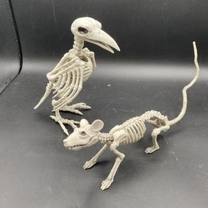 Scheletri Halloween Stagioni 7,8" Scheletro Corvo e Ratto - Foto 1 di 7