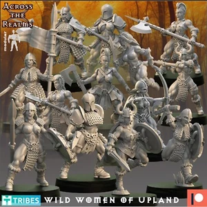 Wild Women of Upland (x13)/TTRPG/Wargaming/Dungeons and Dragons/Across the Realm - Picture 1 of 1