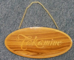 Placa Guitarras Takamine 17" X 8". 2 caras. con información para tomar. Ver todas las fotos. 2 caras. - Imagen 1 de 4